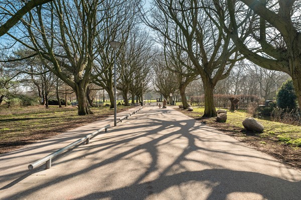 Vreeswijkstraat 417_34.jpg